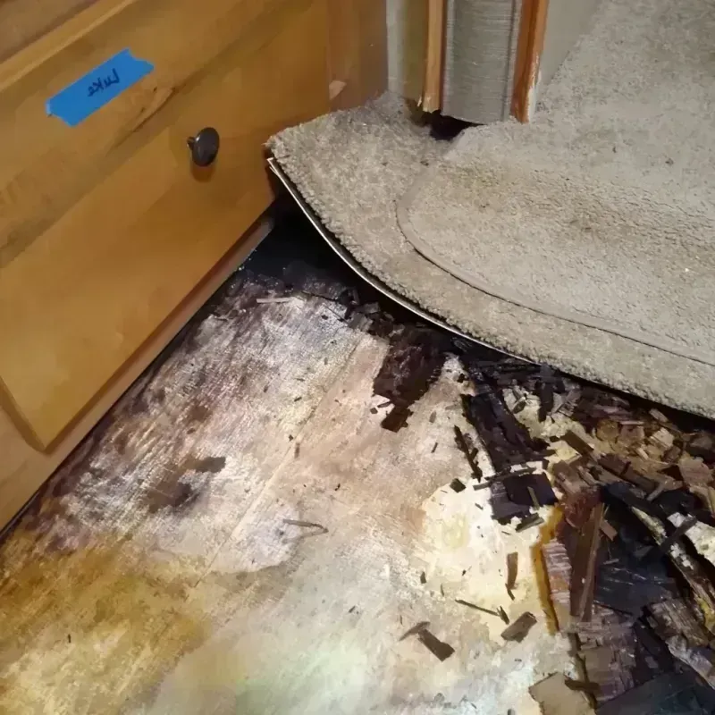 Wood Floor Water Damage in Avondale, IL